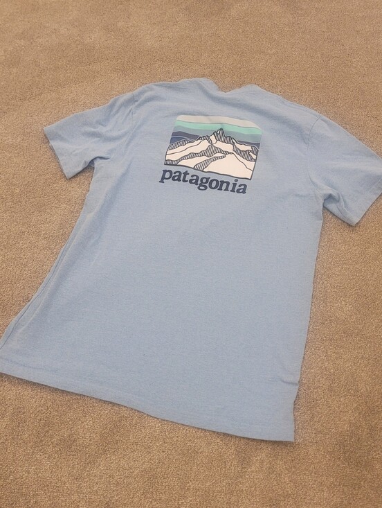 Patagonia Other - Patagonia Mens Blue Mountain Logo Size Large